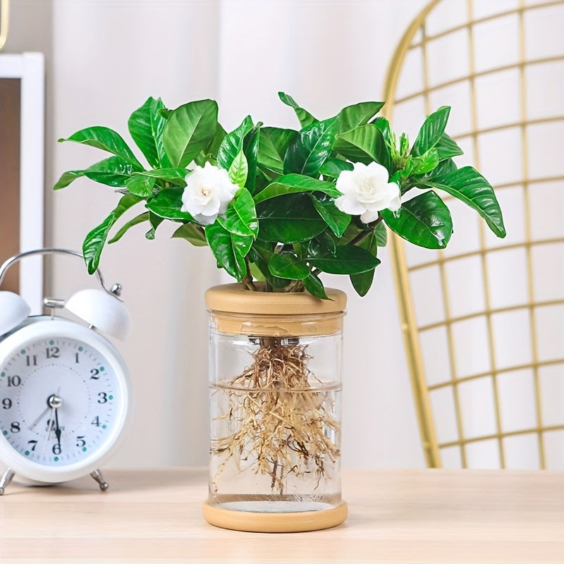 3pcs Hydroponic Plant Vases - Soilless Growing Pots with Lids, Durable ABS Plastic Indoor/Outdoor Planter for Herbs, Succulents, Small Plants, Bohemian Style Garden & Home Decor, Flower Pots