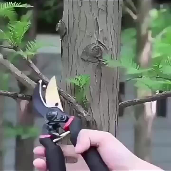 CortePro BX — Tijera de Podar Profesional 8.5” con Hoja de Acero al Carbono (Estilo Vintage)