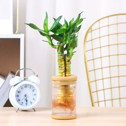 BohoRoots CM — Set de 3 Macetas Hidropónicas con Tapa (Cultivo sin Tierra, Estilo Bohemio para Interior y Exterior)