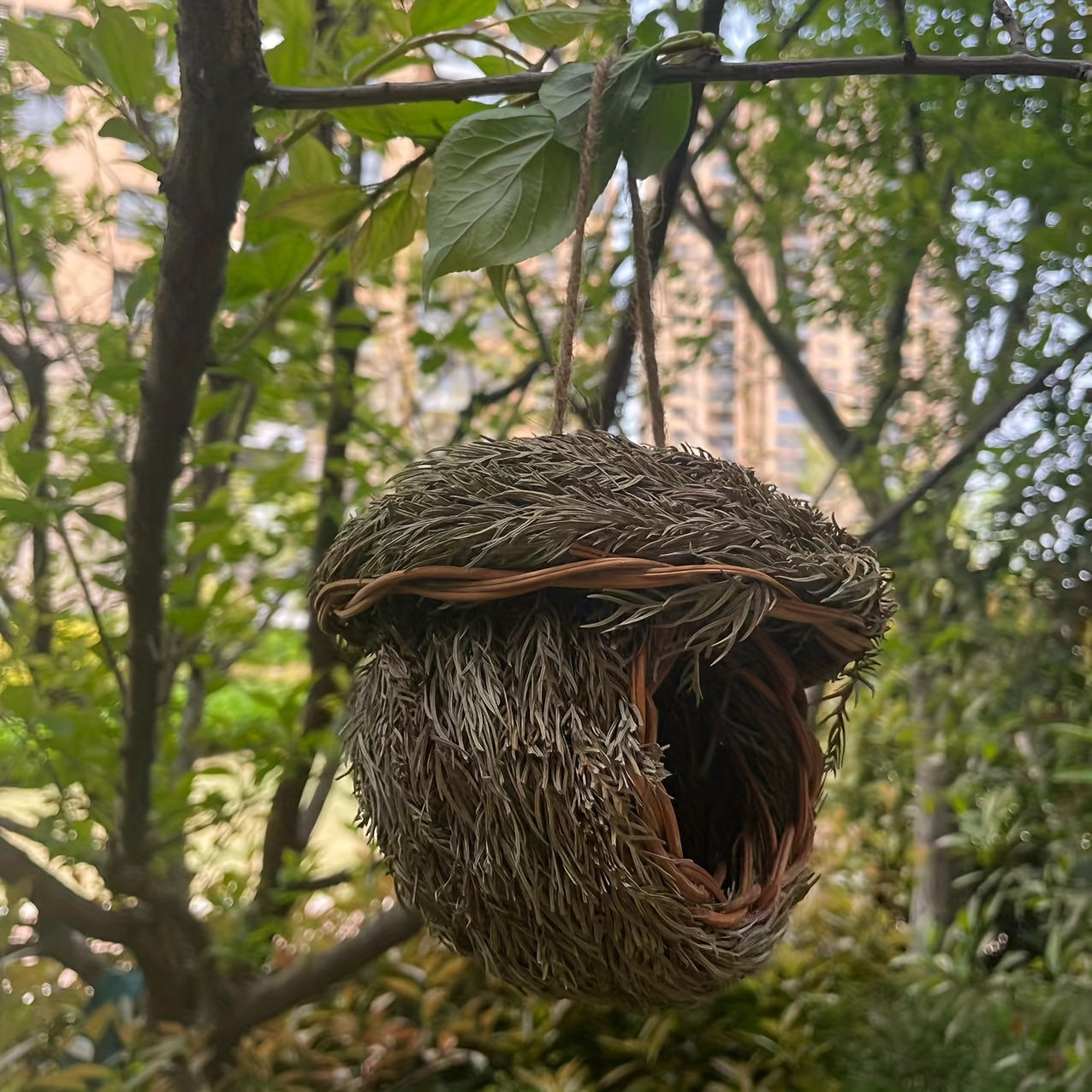 NestCharm HP — Nido Artesanal de Pasto para Aves (Forma Redonda, Tejido con Agujas de Pino, Ideal para Jardines y Mascotas Pequeñas)