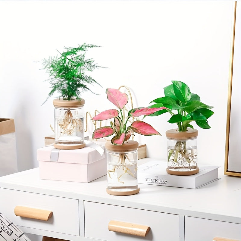 3pcs Hydroponic Plant Vases - Soilless Growing Pots with Lids, Durable ABS Plastic Indoor/Outdoor Planter for Herbs, Succulents, Small Plants, Bohemian Style Garden & Home Decor, Flower Pots