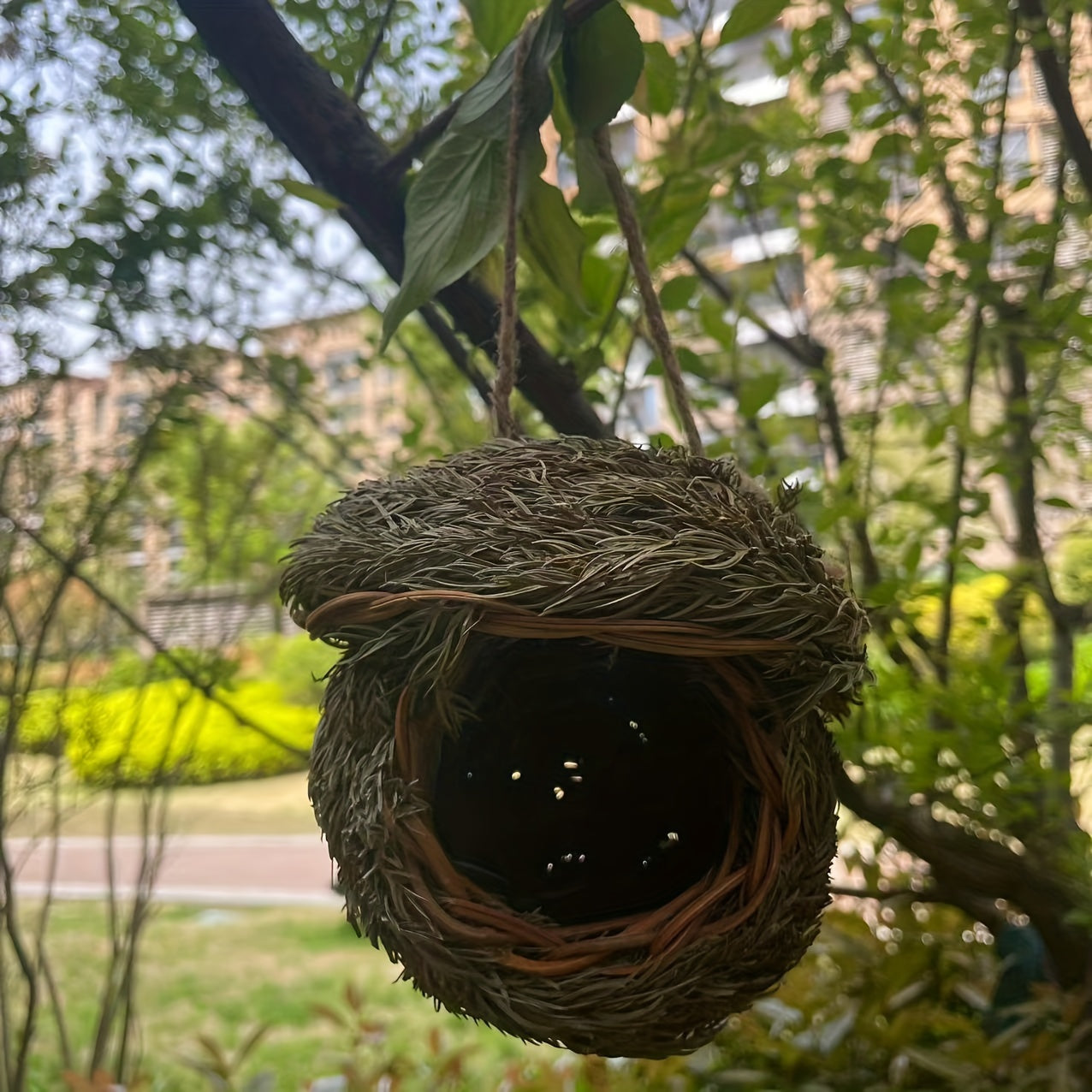 1pc Handmade Grass Bird Nest, Pine Needle Woven Parrot Nest Pearl Bird Nest Warm And Coldproof, Small Pet Ideal Hideout, Pastoral Yard Aerial Charm Round Bird House, Bird Nesting Box