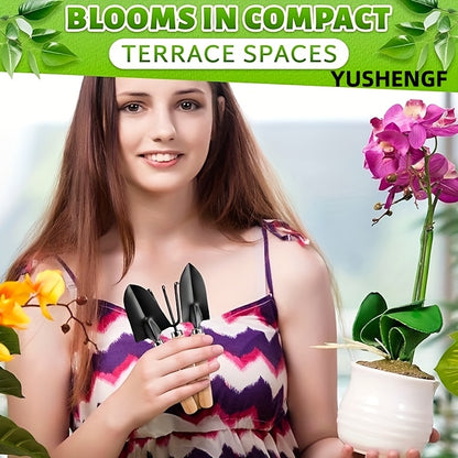 MiniGarden PY — Set de 6 Herramientas Metálicas para Jardinería Doméstica