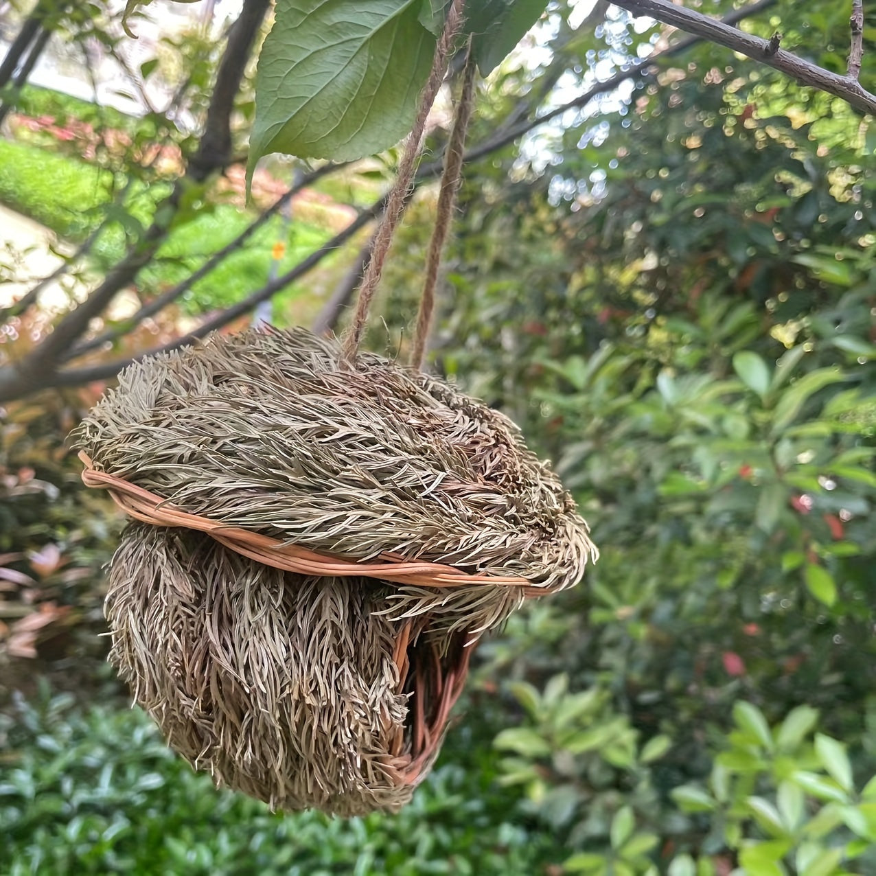 1pc Handmade Grass Bird Nest, Pine Needle Woven Parrot Nest Pearl Bird Nest Warm And Coldproof, Small Pet Ideal Hideout, Pastoral Yard Aerial Charm Round Bird House, Bird Nesting Box